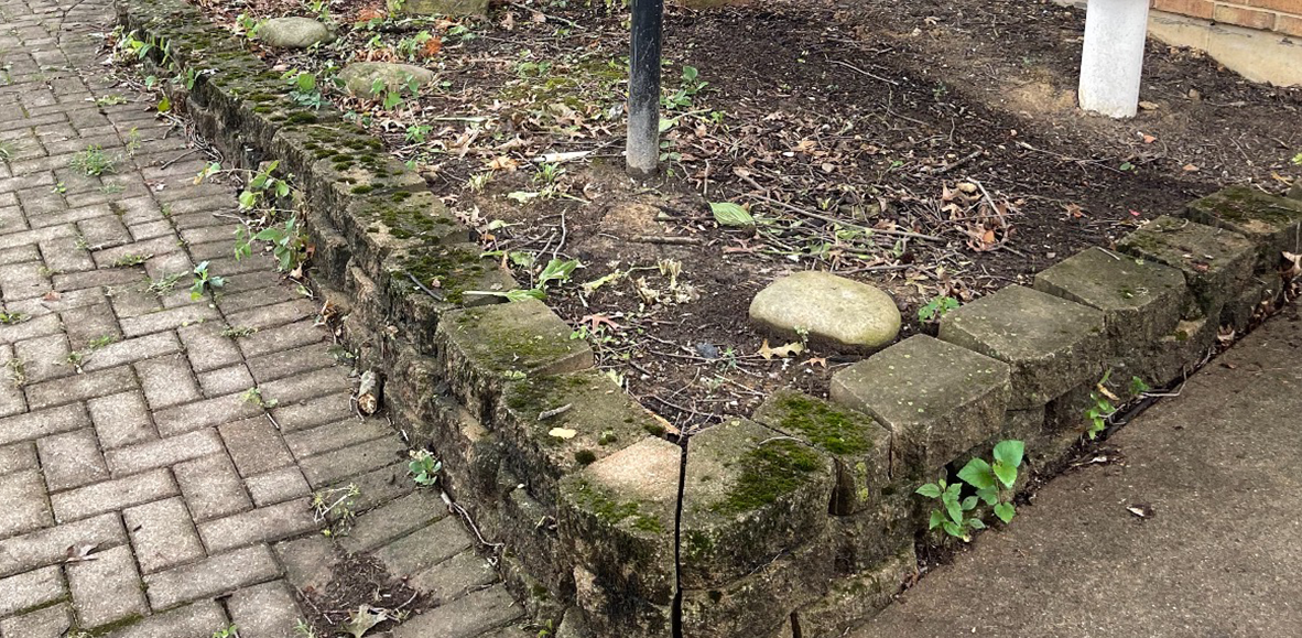 Before transformation