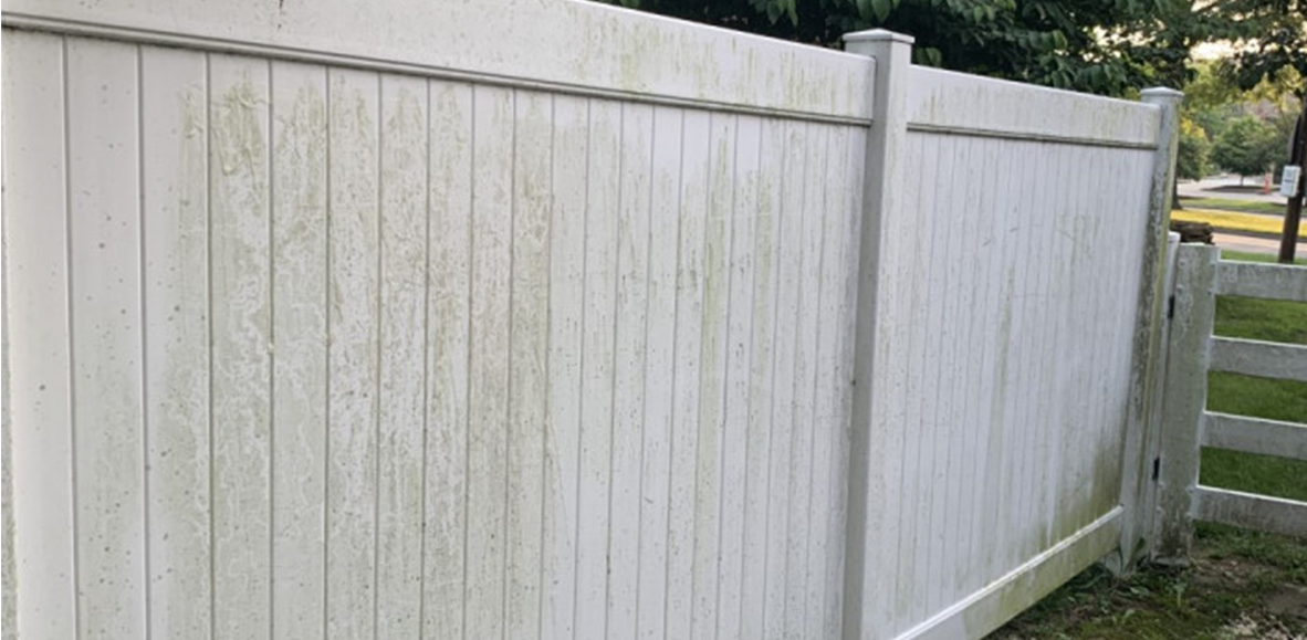 Before transformation