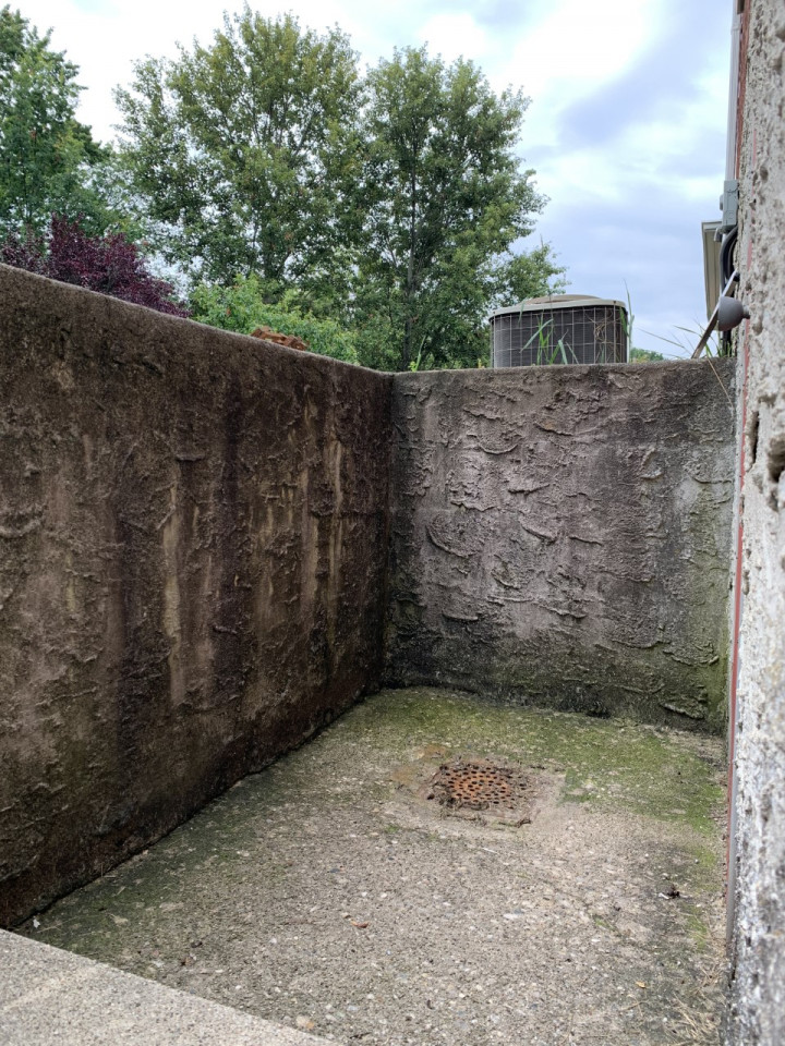 Before transformation